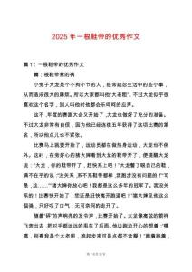 2025年一根鞋帶的優秀作文