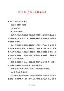 2025年13種公文寫作格式