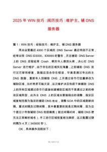 2025年WIN技巧：閱歷技巧：維護主、輔DNS服務器