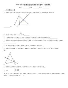 2025年四川省德昌縣初中數(shù)學(xué)期末題庫(kù)（考點(diǎn)精練）