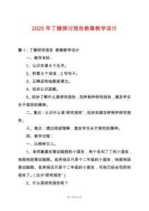 2025年丁賭探討報告教案教學設計