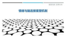 情緒與腦連接重塑機(jī)制最佳分析