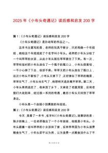 2025年《小布頭奇遇記》讀后感和啟發200字