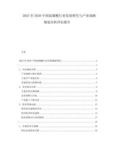 2025至2030中國泥磷酸行業(yè)發(fā)展研究與產(chǎn)業(yè)戰(zhàn)略規(guī)劃分析評估報告
