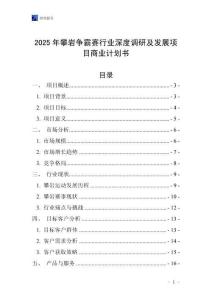 2025年攀巖爭霸賽行業深度調研及發展項目商業計劃書