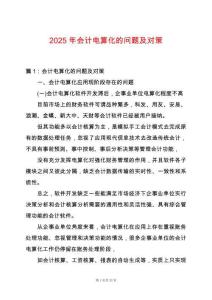 2025年會計電算化的問題及對策
