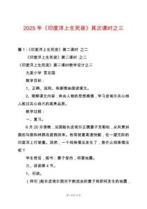 2025年《印度洋上生死夜》其次課時之三