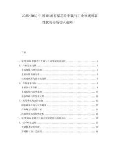 2025-2030中國MRAM存儲芯片車載與工業(yè)領(lǐng)域可靠性優(yōu)勢市場切入策略