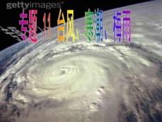 專(zhuān)題11臺(tái)風(fēng)寒潮分析