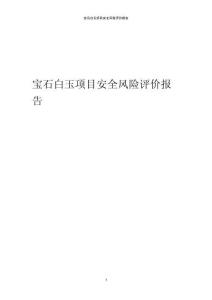 2023年寶石白玉項目安全風(fēng)險評價報告