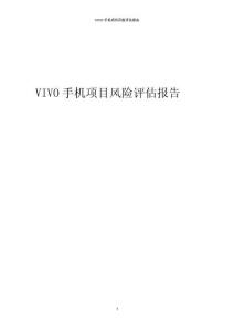 VIVO手機項目風險評估報告