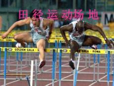 田徑理論課課件-2.田徑運動場地