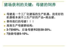 大北農(nóng)飼料