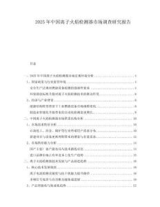 2025年中國離子火焰檢測器市場調查研究報告