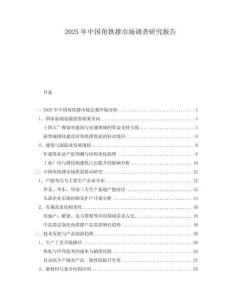 2025年中國角鐵撐市場調(diào)查研究報告