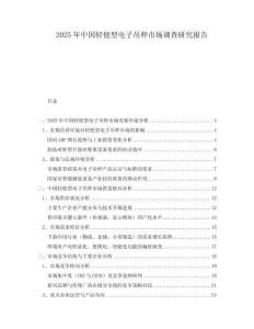 2025年中國輕便型電子吊秤市場(chǎng)調(diào)查研究報(bào)告