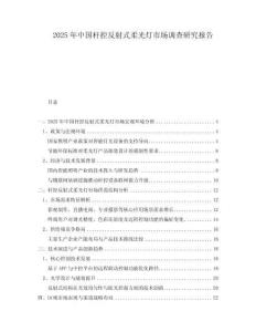 2025年中國桿控反射式柔光燈市場(chǎng)調(diào)查研究報(bào)告