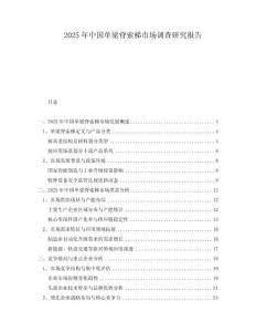 2025年中國單梁脊索梯市場調(diào)查研究報告