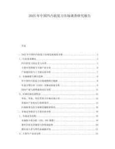 2025年中國凹凸狀度刀市場調查研究報告