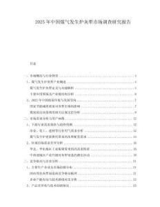 2025年中國煤氣發生爐灰犁市場調查研究報告
