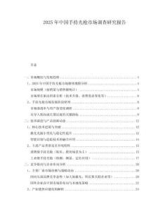 2025年中國手持光槍市場調查研究報告