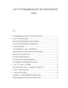 2025年中國卷揚減速機試驗臺液壓系統市場調查研究報告