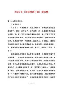 2025年《太陽照常升起》讀后感