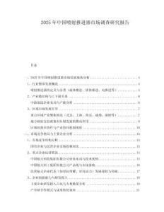 2025年中國噴射推進器市場調查研究報告