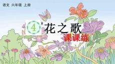 24人教統編版-小學六年級上冊第一單元4 花之歌 課課練