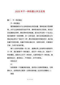 2025年不一樣的煙火作文優(yōu)秀