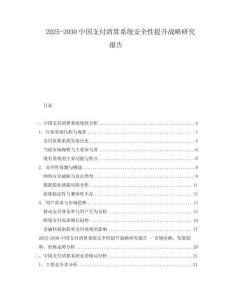 2025-2030中國支付清算系統安全性提升戰略研究報告