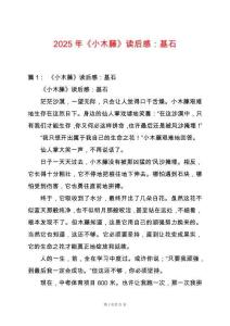 2025年《小木藤》讀后感：基石