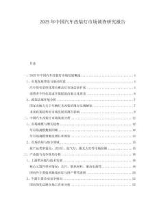2025年中國汽車改裝燈市場調查研究報告