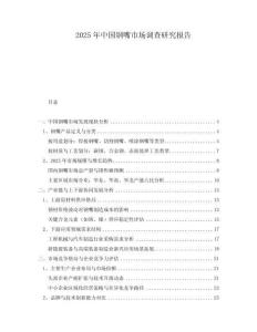 2025年中國(guó)鋼嘴市場(chǎng)調(diào)查研究報(bào)告