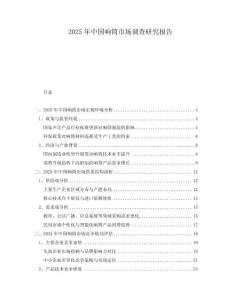 2025年中國響筒市場調查研究報告