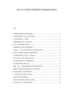 2025年中國增安型撓型管市場調查研究報告