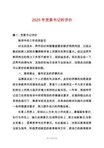 2025年黨委書記的評價