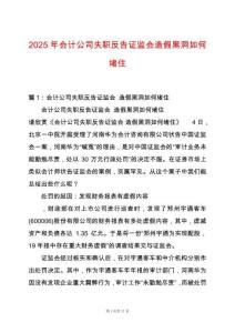 2025年會計公司失職反告證監會造假黑洞如何堵住