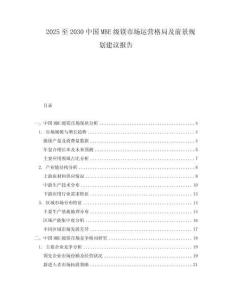 2025至2030中國MBE級(jí)鎂市場(chǎng)運(yùn)營格局及前景規(guī)劃建議報(bào)告