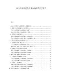 2025年中國彩色蔥帶市場調查研究報告