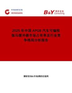 2025年中國APGB汽車可編程伽馬緩沖器市場占有率及行業競爭格局分析報告