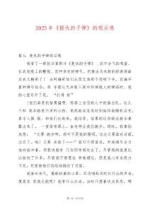 2025年《報仇的子彈》的觀后感