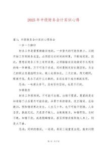 2025年中級(jí)財(cái)務(wù)會(huì)計(jì)實(shí)訓(xùn)心得