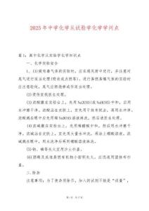 2025年中學化學從試驗學化學學問點