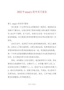 2025年mapgis軟件實(shí)習(xí)報(bào)告