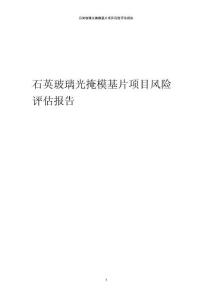 石英玻璃光掩?；?xiàng)目風(fēng)險(xiǎn)評(píng)估報(bào)告