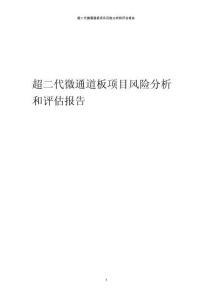 超二代微通道板項目風險分析和評估報告