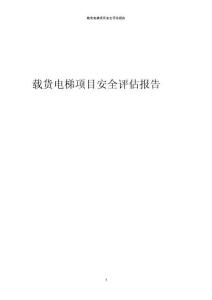 載貨電梯項(xiàng)目安全評(píng)估報(bào)告