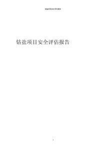 鈷鹽項目安全評估報告
