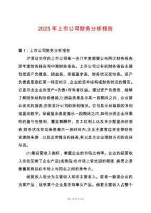 2025年上市公司財務分析報告
